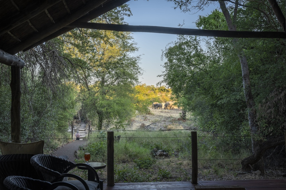 Mashatu Tent Camp - Mashatu Game Reserve