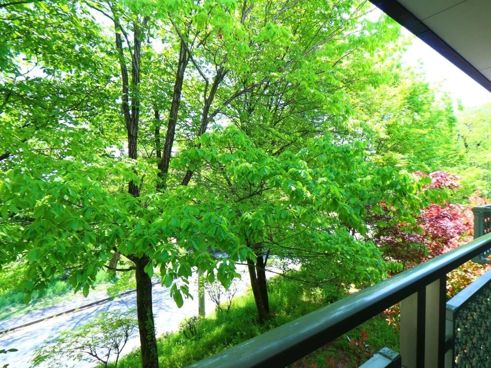 Balcony & Terrace