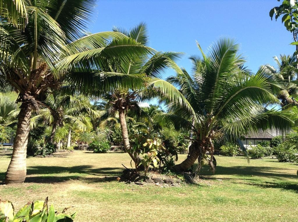 Punatea Village by null