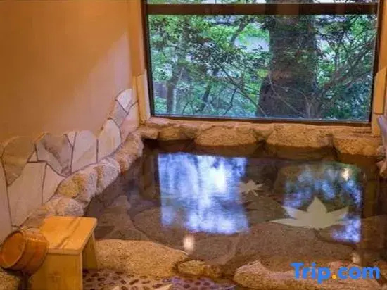 Akizuki Spa Ryokan Seiryuan - Chambres