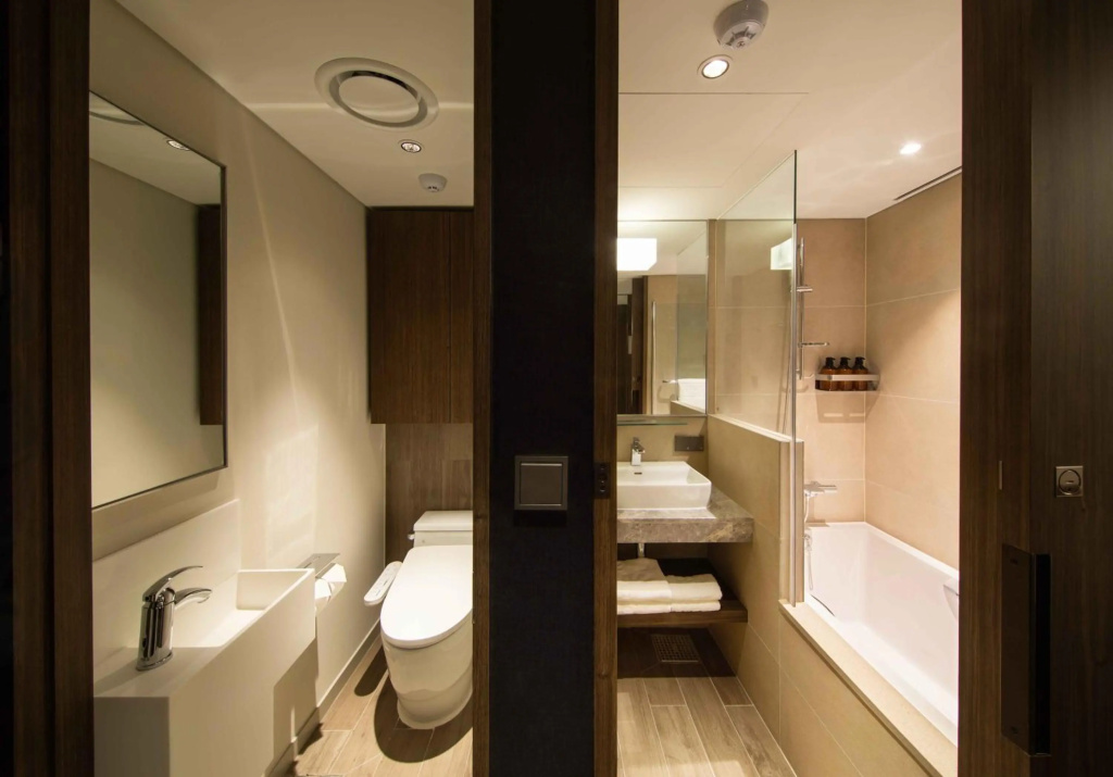 Отель Sotetsu Fresa Inn Seoul Myeong Dong в Сеуле
