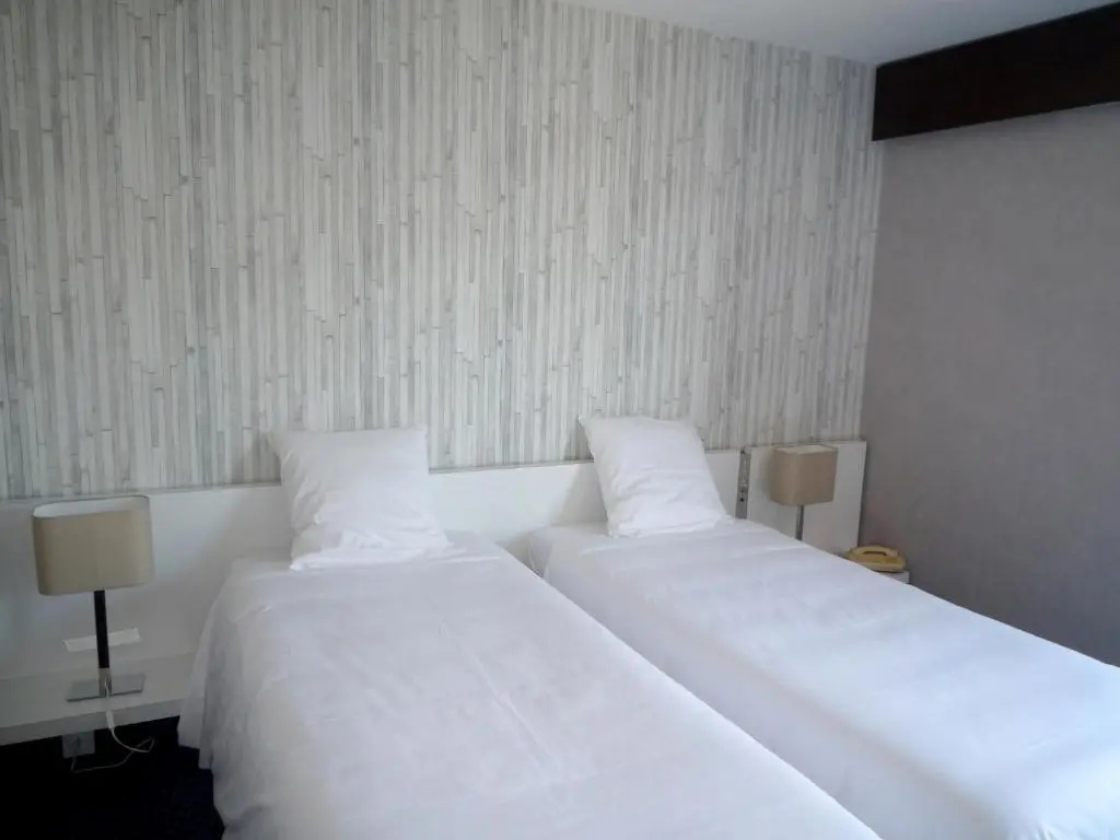 Standard Double room with mountain view (full double bed)