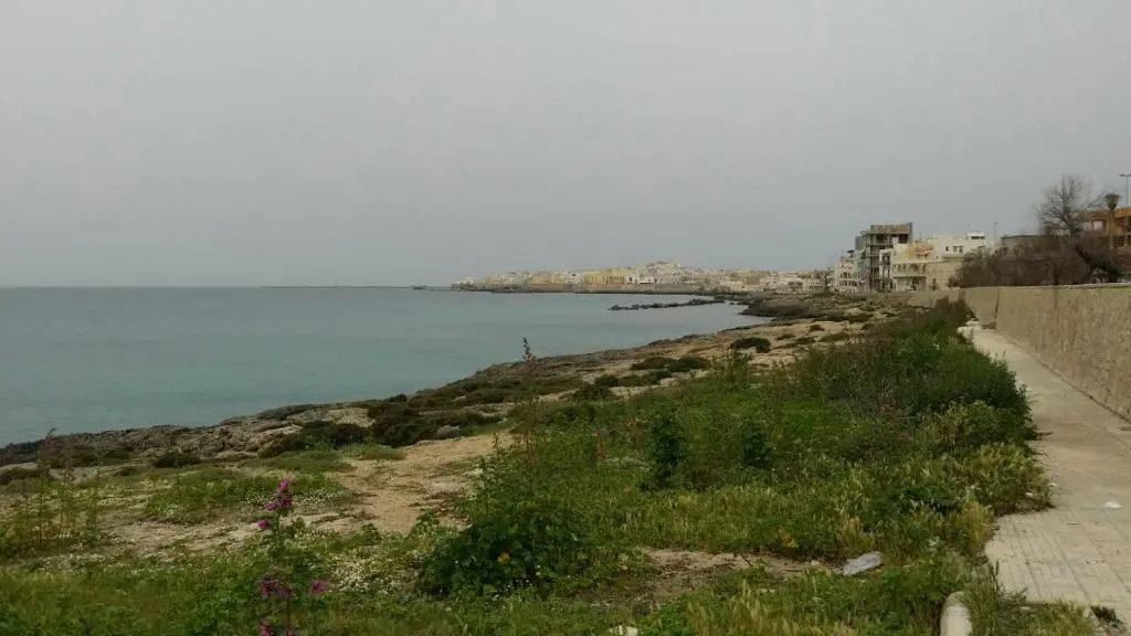 Beach & Waterfront
