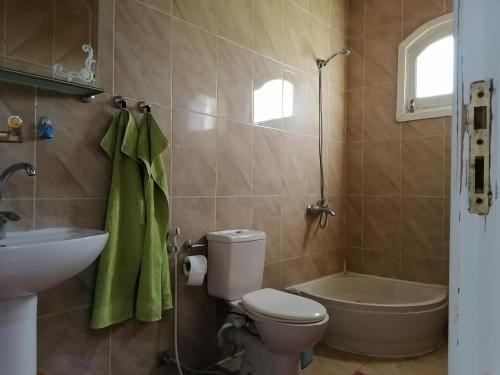 Image 6