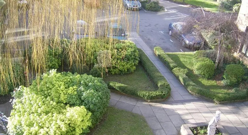 The Meadows — фото 2