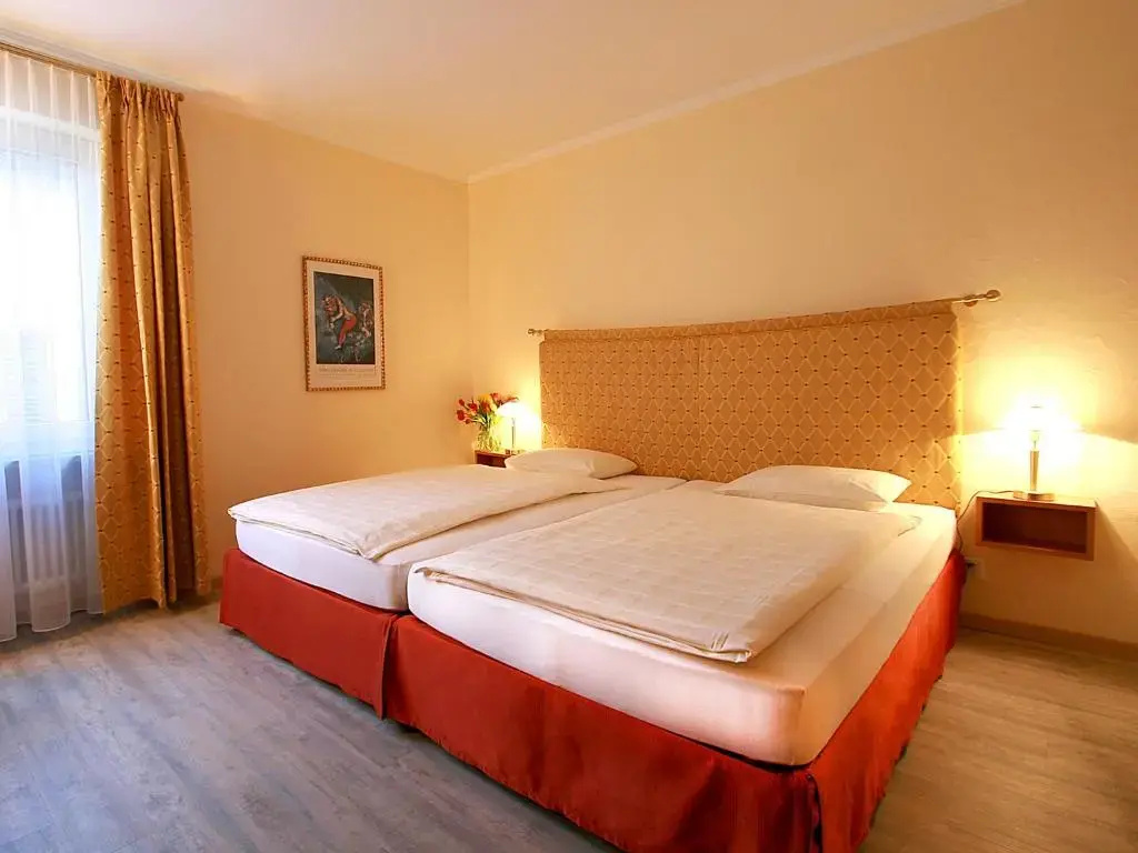 Comfort Double room (full double bed)
