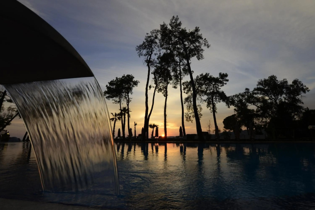 Wome Deluxe - фото 13