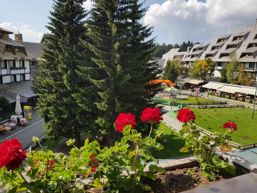 Apartments Mozaik