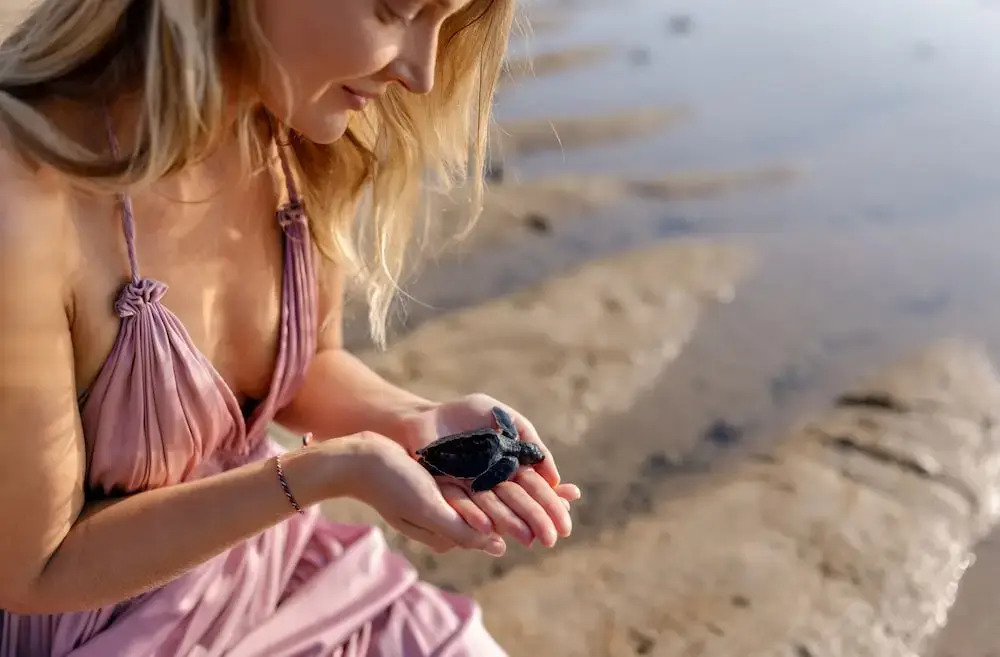 Sumitra Luxury Villas & Resort by Pramana - фото 15