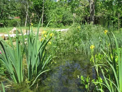 Ecologis du Vignoble