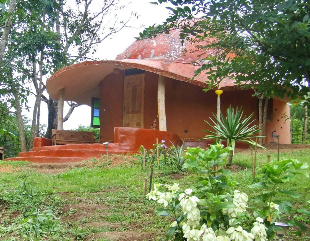 Image 11