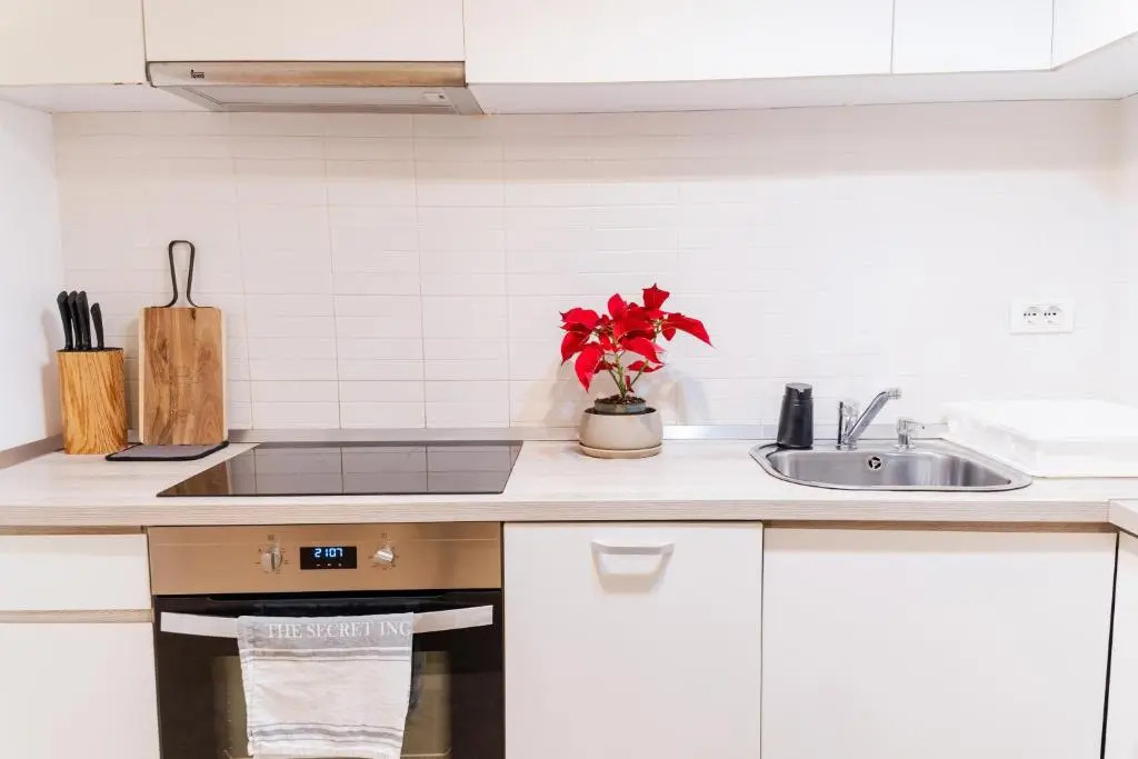 Central 700 square Fructus plaza - Eva apartment - фото 13