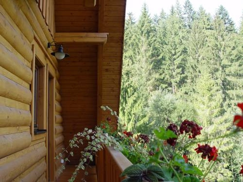 Balcony & Terrace
