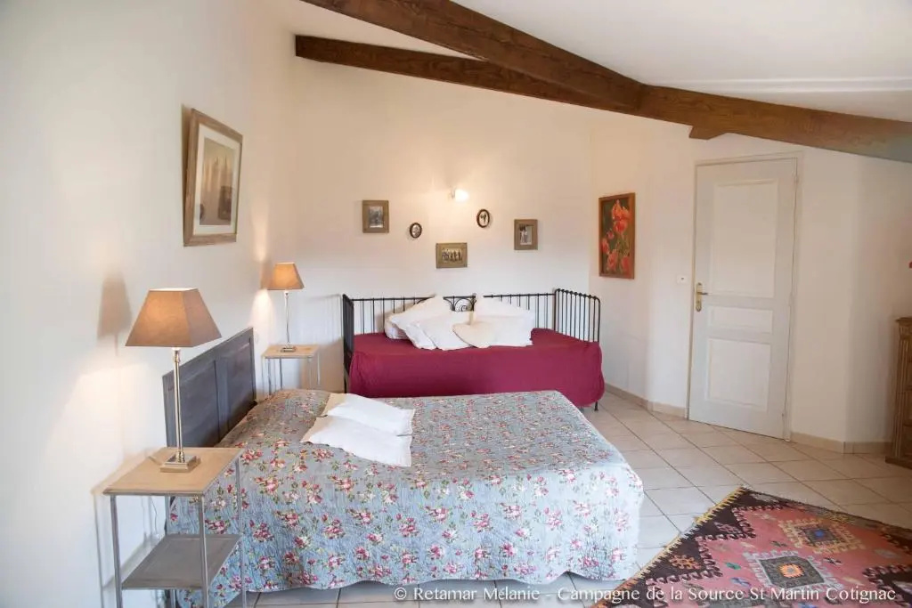 Standard Double room with mountain view (full double bed)