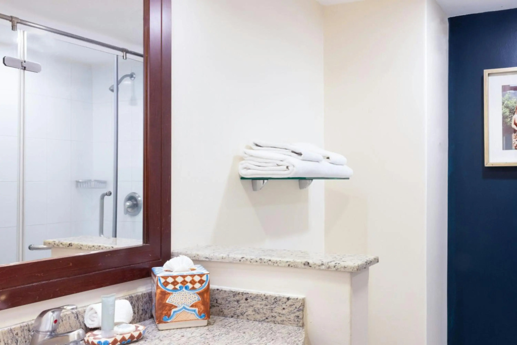 Courtyard by Marriott Toluca Airport - Général
