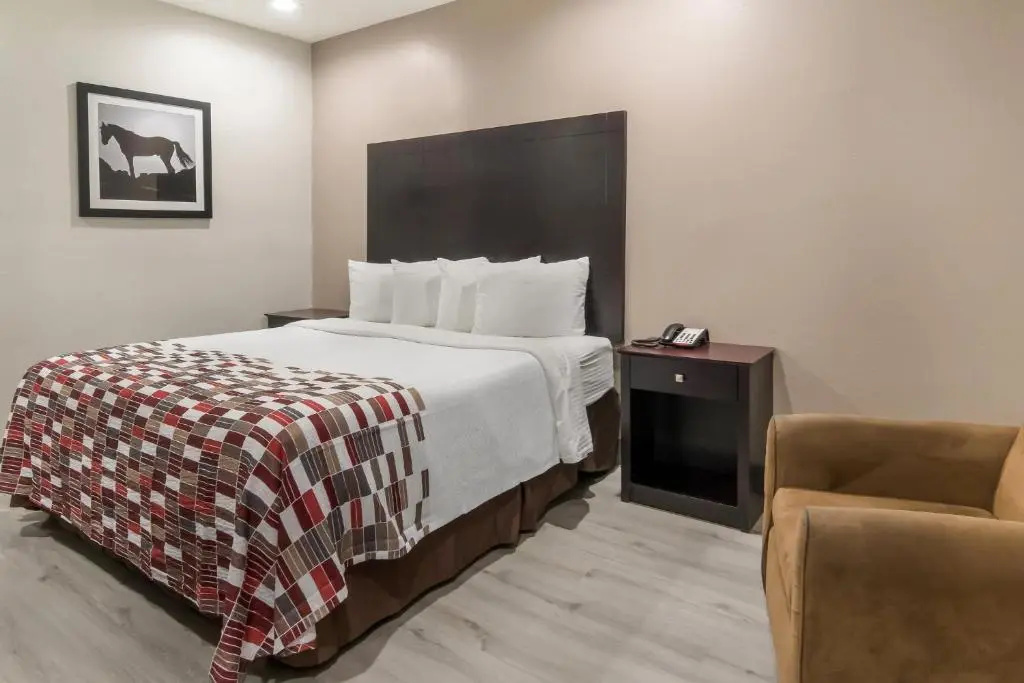 Spark by Hilton Terrell - Chambres