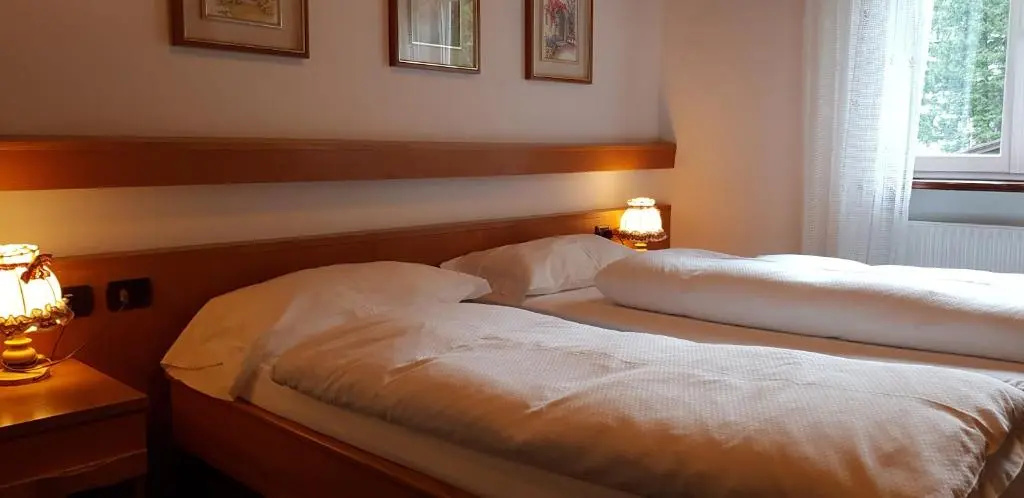 Standard Double room (twin beds)