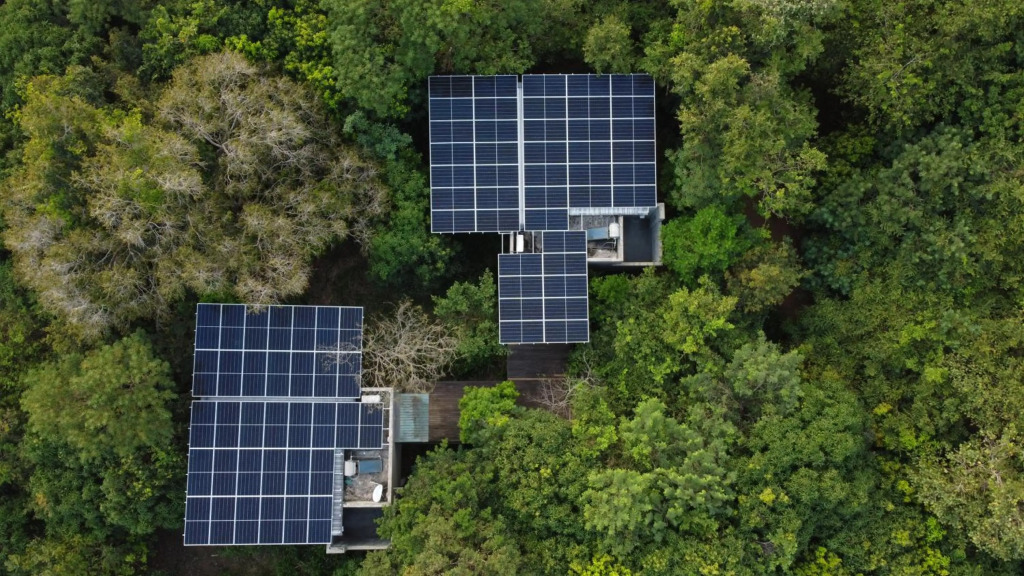 Wild Grass Nature Resort - фото 16