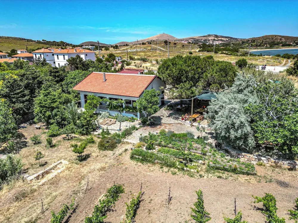 İncir Bozcaada
