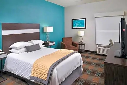 Wyndham Garden Greenville Airport - Chambres