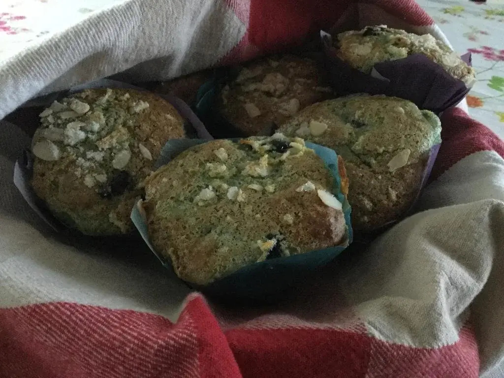 Gite Entre Chien Et Loup - фото 5