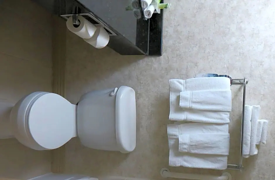 Holiday Inn Selma - Swancourt by IHG - Chambres
