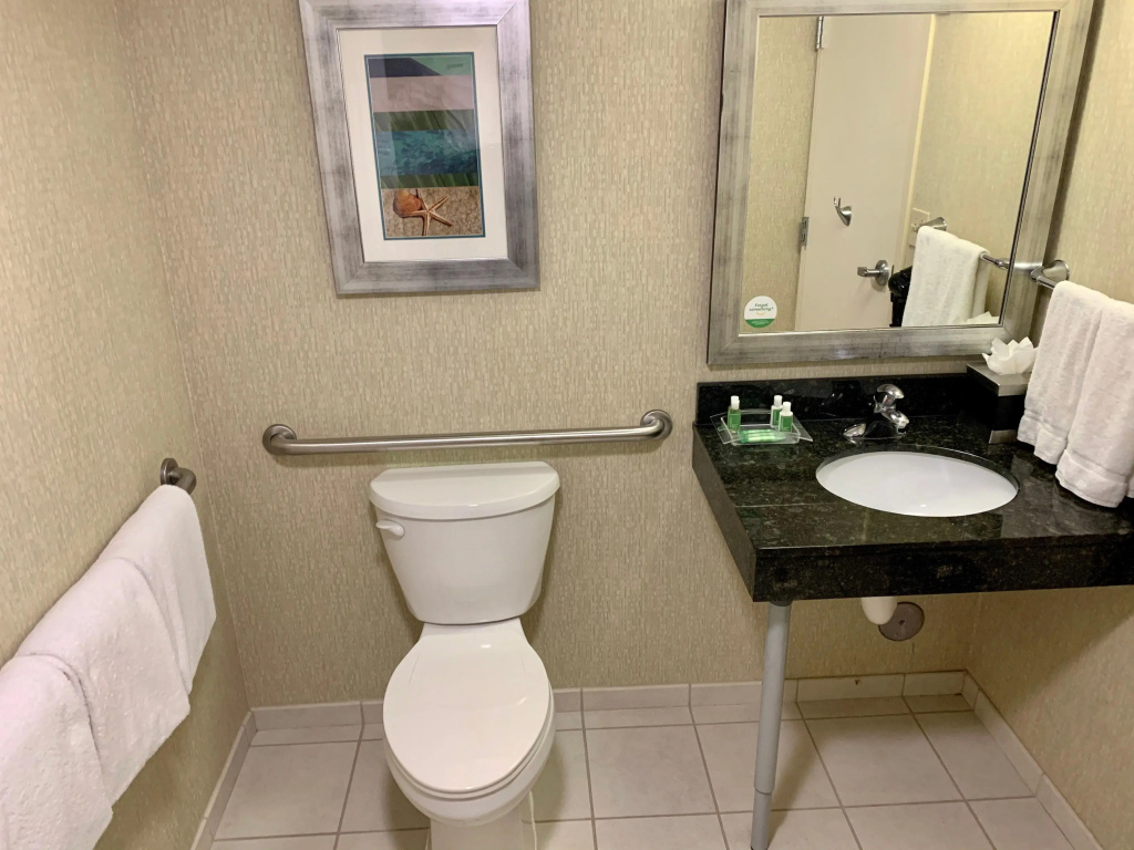 Holiday Inn & Suites Virginia Beach North Beach by IHG - Général
