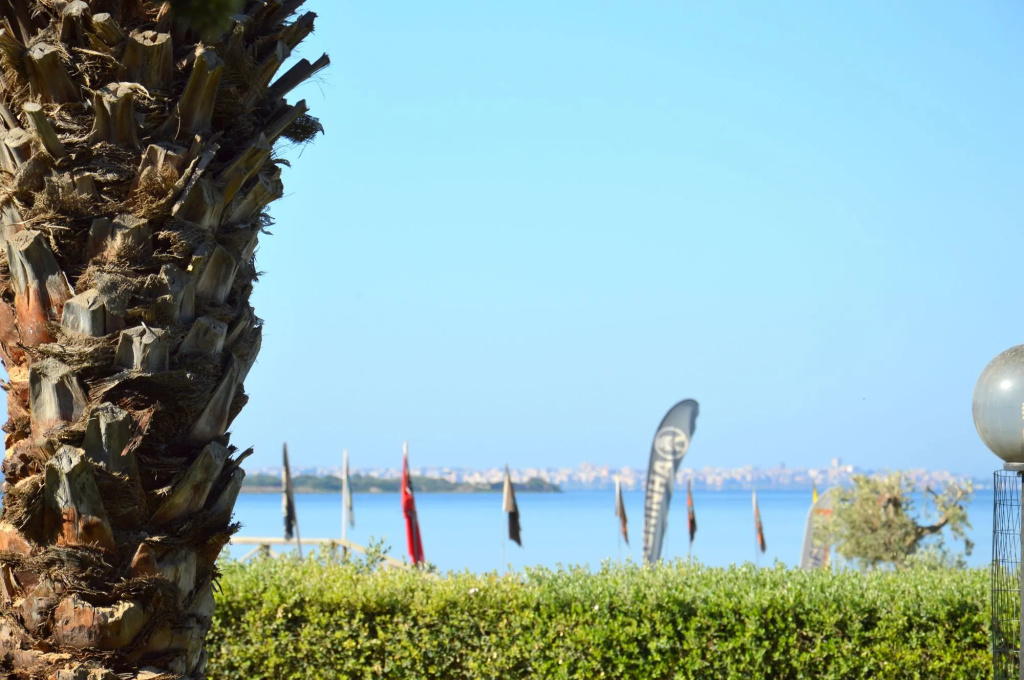 Beach & Waterfront