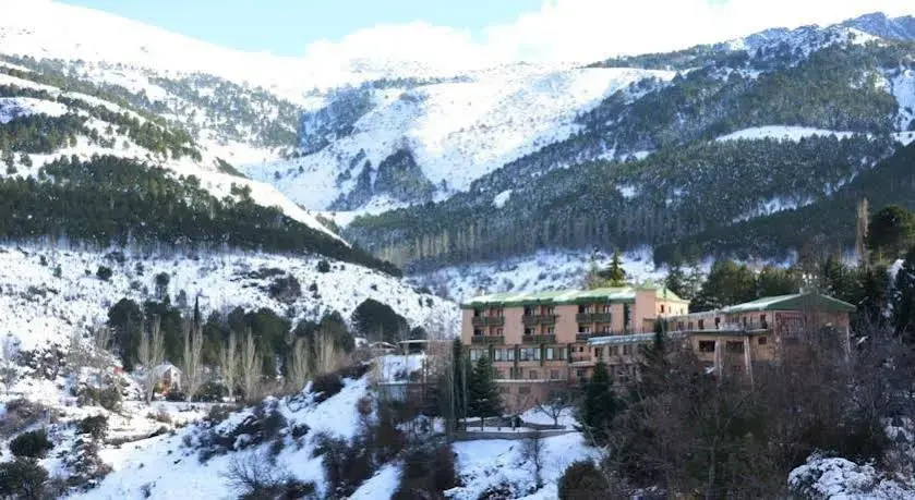 Hotel photo 12