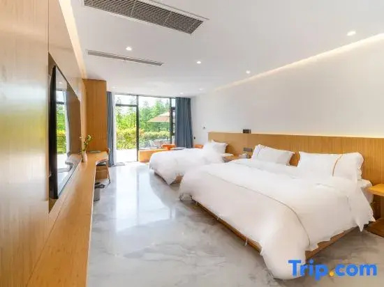 Standard Double room with mountain view (twin beds)