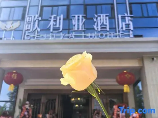 Dianjiang County Goliya Hotel