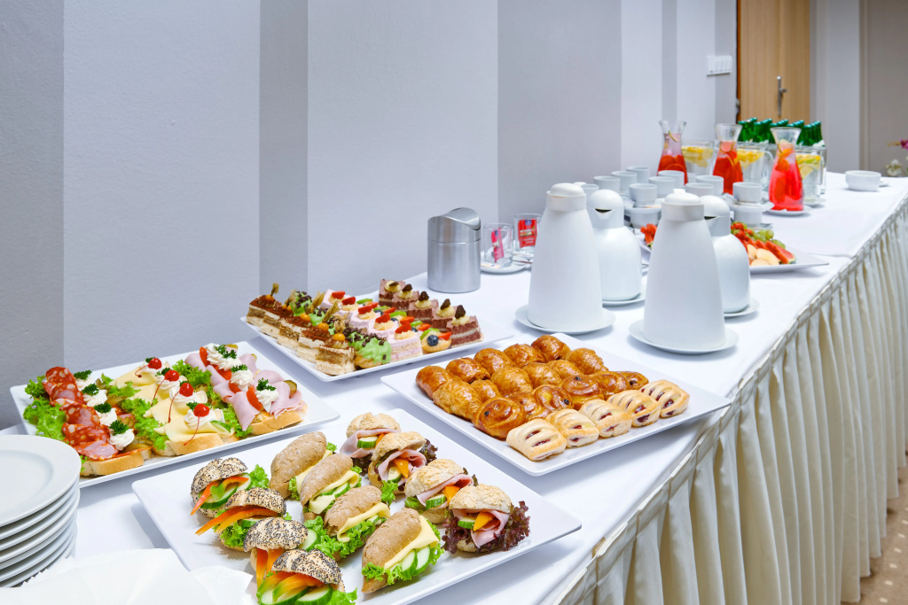 Congress & Wellness Hotel Olsanka - Général