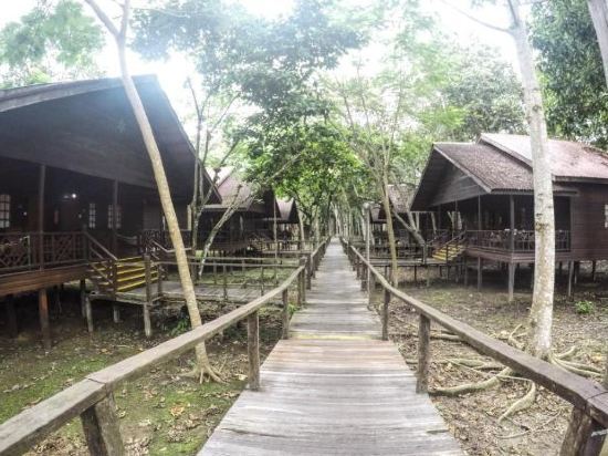Bilit Rainforest Lodge