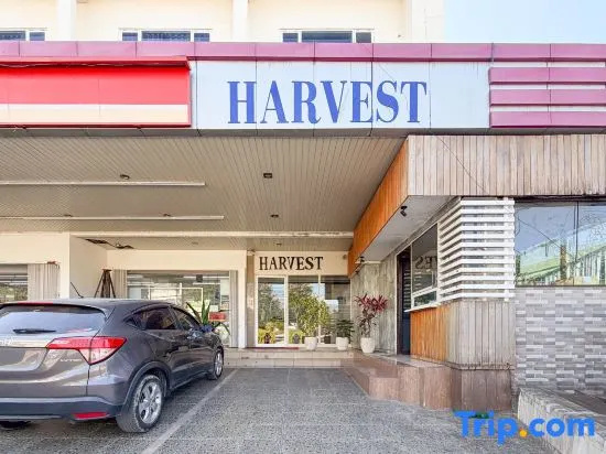 RedDoorz @ Harvest Hotel Lippo Mall Kupang
