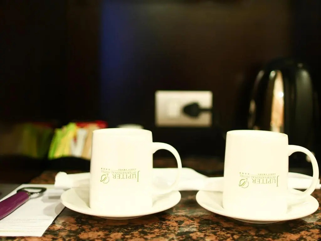 Jupiter International Hotel Bole - Chambres