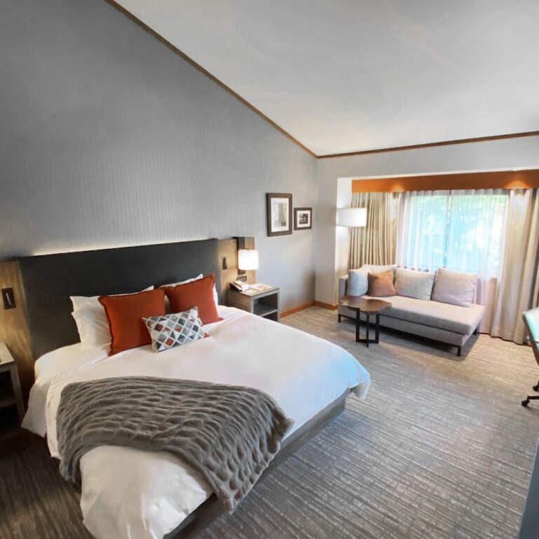 Standard Double Club room with river view (full double bed)