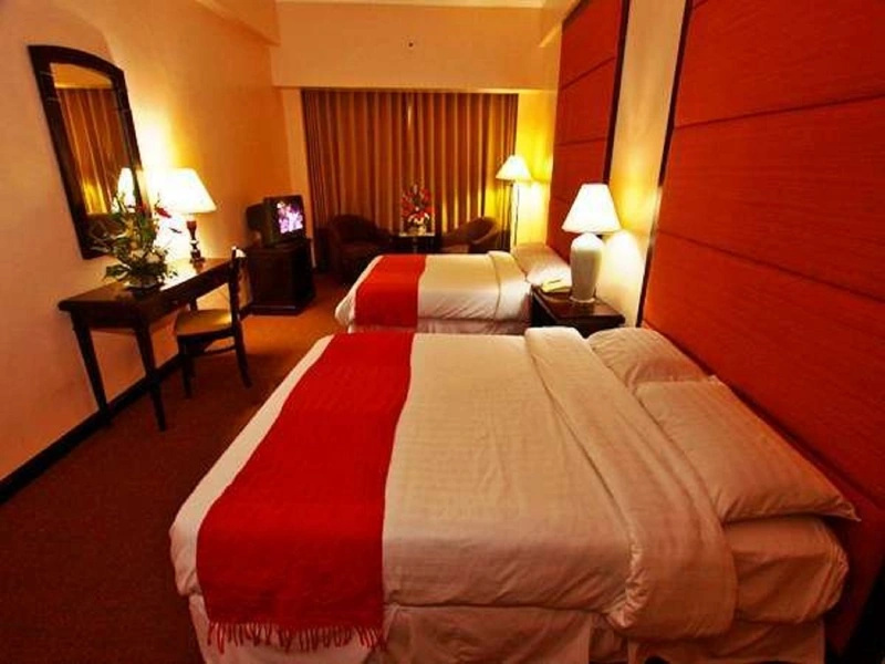 Hotel Rembrandt Quezon City - Chambres