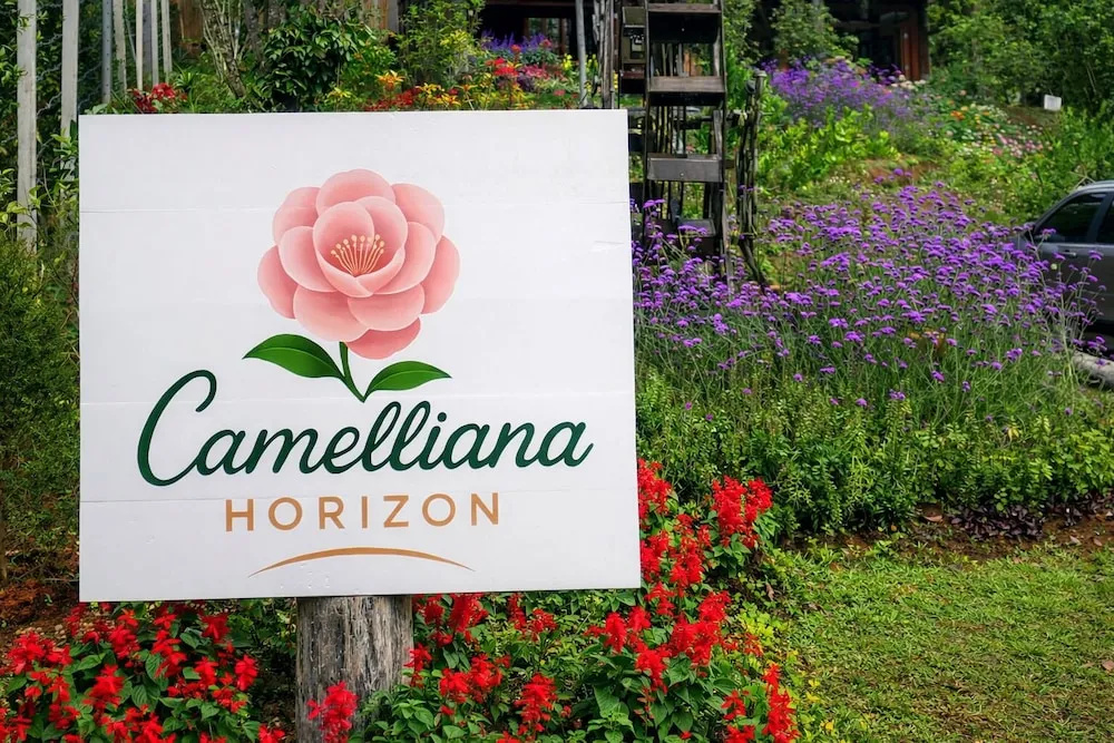 Camelliana Horizon Pongyang