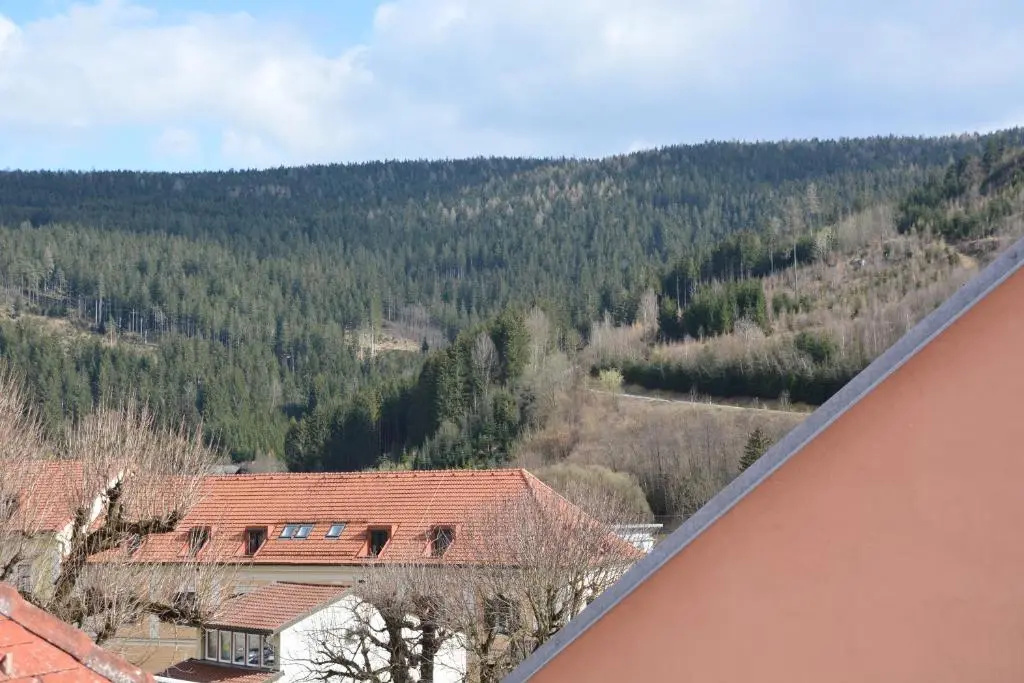 Kronenwirt - Chambres