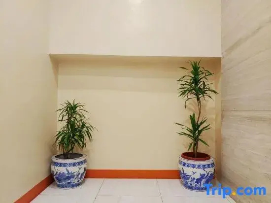 image url
