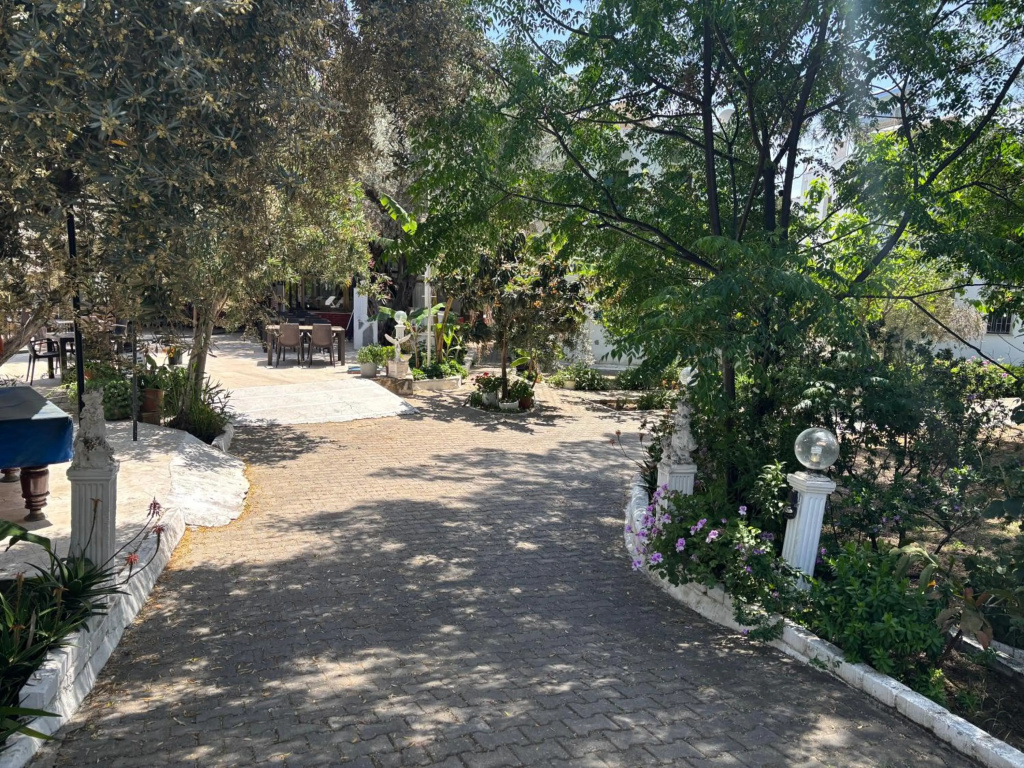 Hotel photo 24