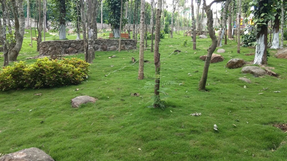 The Brook - Resorts & Spa - Yercaud - фото 39