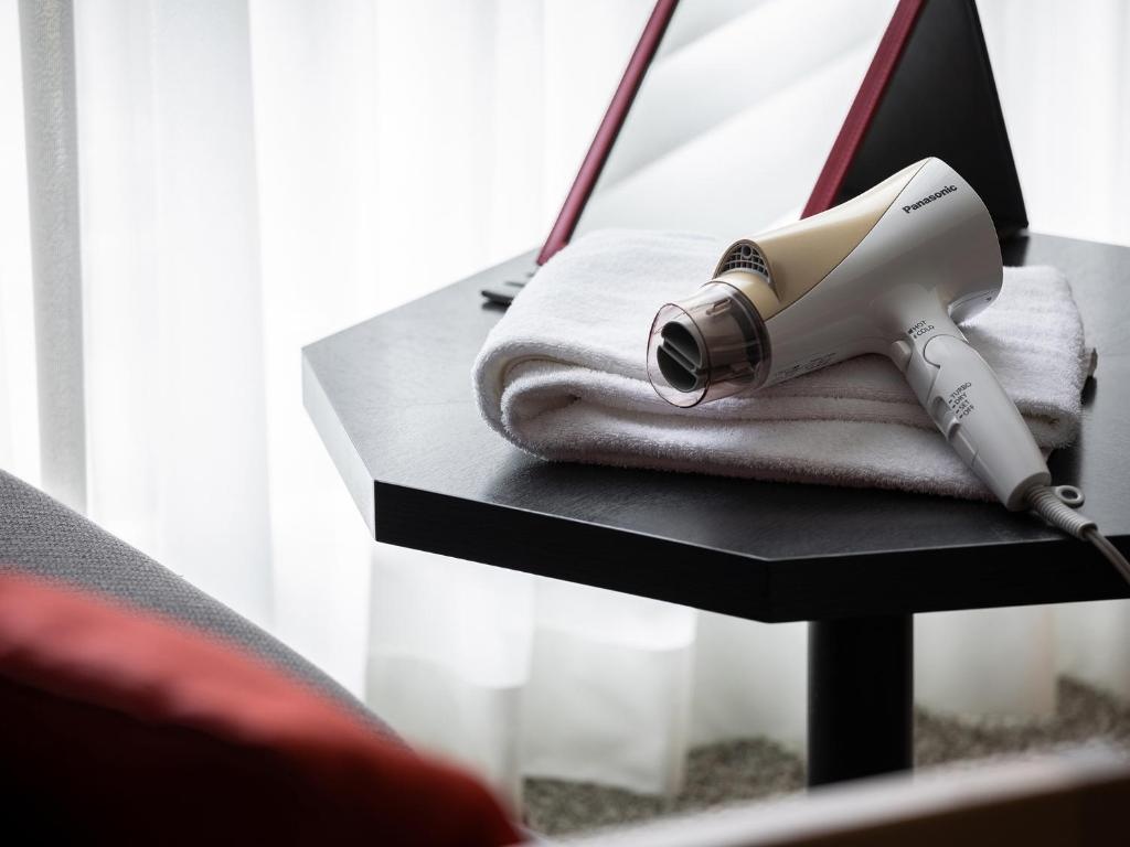 Loisir Hotel Classic Garden Kyoto Sanjo 사진 3