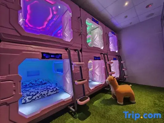 Bed in Dorm (female dorm)