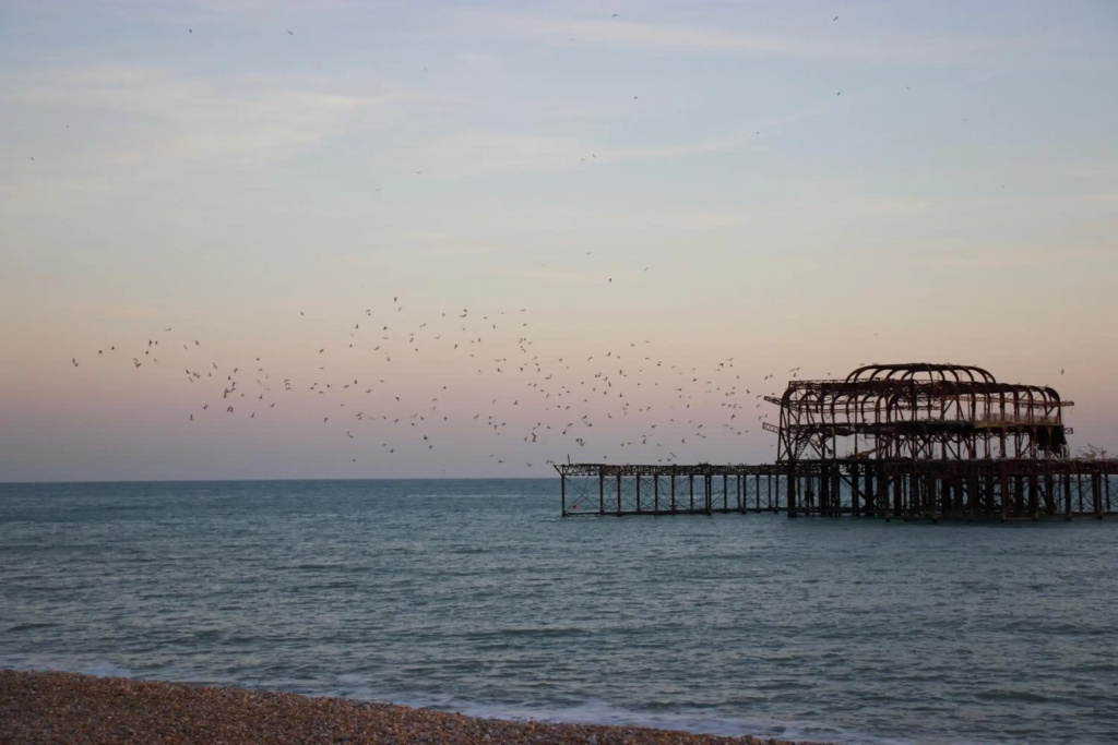 Numa Brighton Pavilion - фото 17