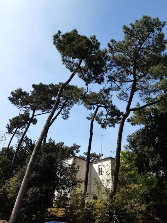Voir la photo 4 — Agréable studio Ronce les bains