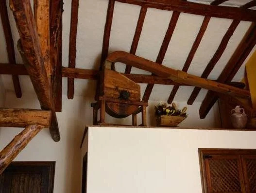 Balcony & Terrace