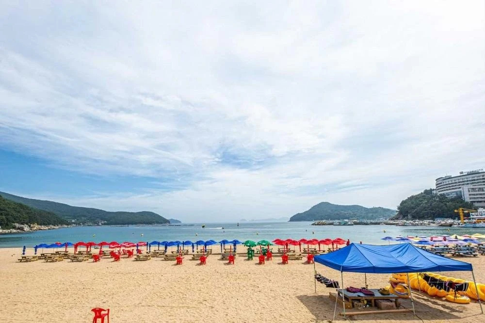 Beach & Waterfront