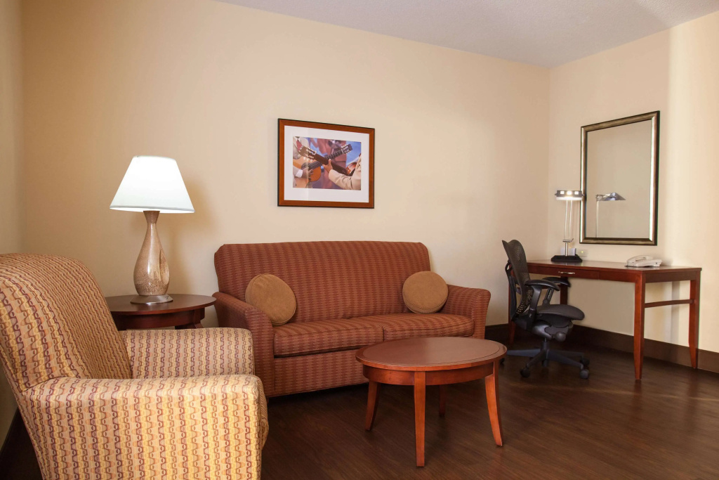 Hilton Garden Inn El Paso / University - Général