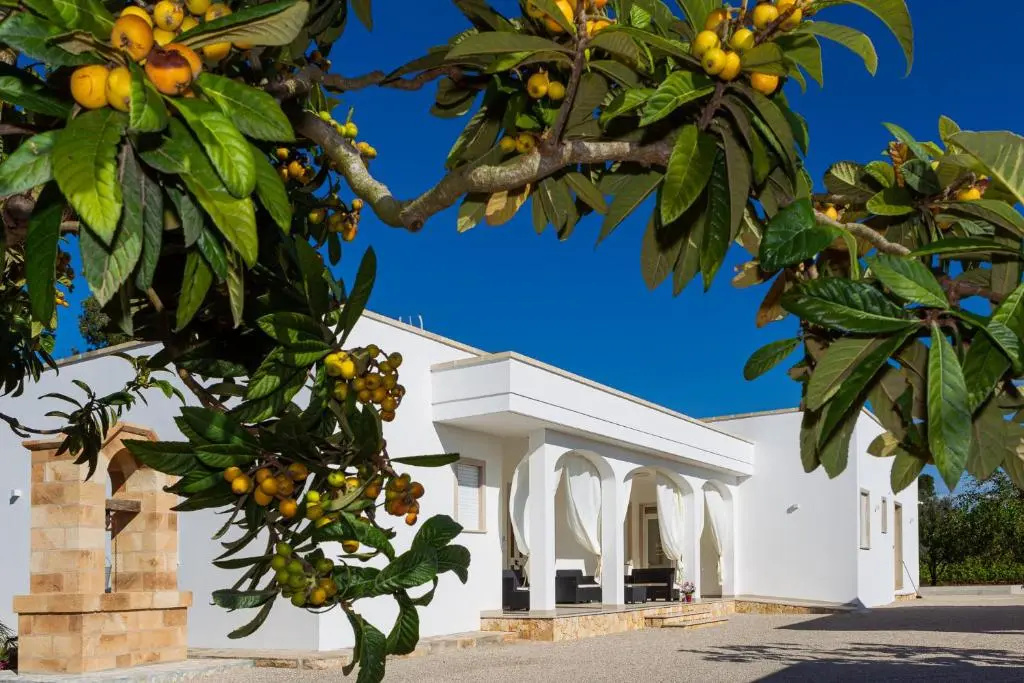 Paloma B&B